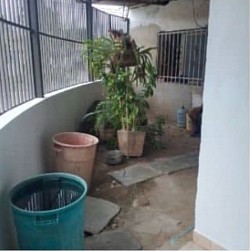 Casa Caña de Azúcar (Patio)